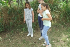 DSCF8950