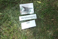 DSCF8962