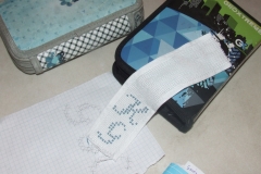 DSCF8979