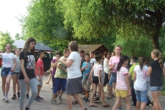 DSCF8984