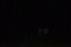 DSCF9012