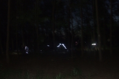 DSCF9014