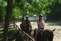 DSCF9037