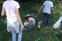 DSCF9043