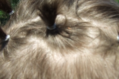 DSCF9071