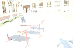 DSCF9991