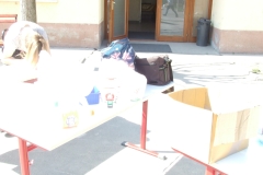 DSCF9993