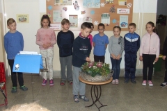 DSCF1239