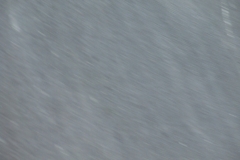 DSCF1770