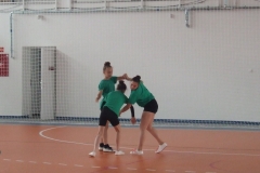 DSCF0226-2