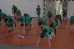 DSCF0237