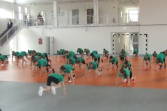DSCF0242-2