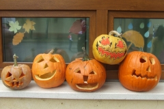 21/22 DÖK tökfaragás