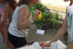 DSCF0365