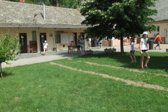 DSCF0372