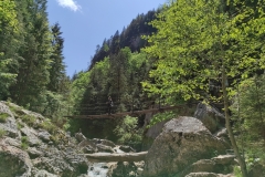 IMG_20230530_124929_1